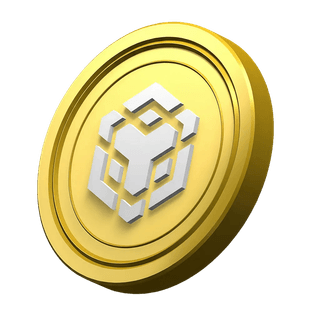 BNB coin decoration in the platform information section